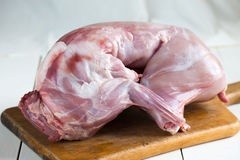 Rabbit