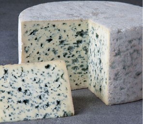 Bleu D'auvergne Cheese