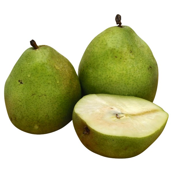 Green D'anjou Pears