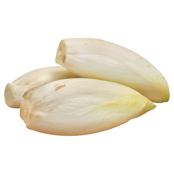 Belgian Endive