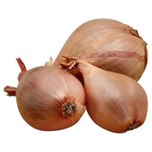 Shallots (Onions)