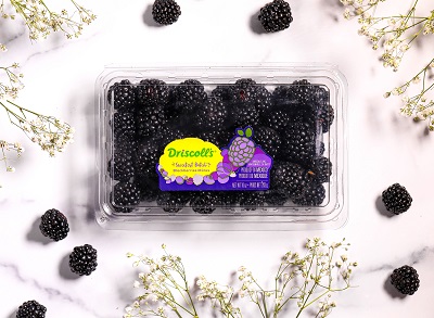 Driscoll's Sweetest Batch Blackberries