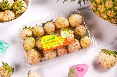 Driscoll's Tropical Bliss Strawberries