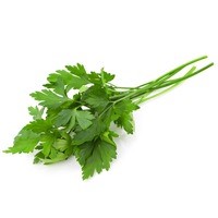 Shenandoah Organic Italian Parsley