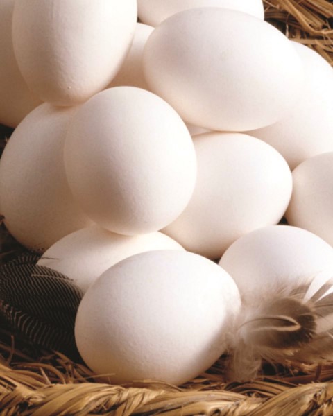 Morning Sun Organic Large Eggs Half Dozen Pack