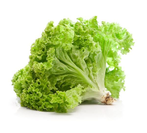 Organic Green Leaf Lettuce