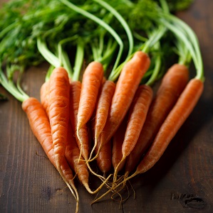 Organic Bulk Table Top Carrots